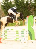 DSC06746 DSC06746