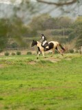 DSC07965 DSC07965