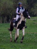 IMG_0252 IMG_0252