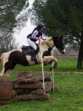IMG_0256 IMG_0256
