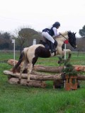 IMG_0260 IMG_0260