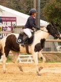 SGE06346 SGE06346