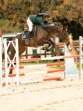 DSC09565 DSC09565