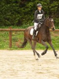 DSC01148 DSC01148
