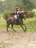 DSC05339 DSC05339