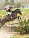 DSC05346 DSC05346