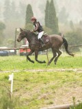 DSC05349 DSC05349