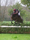 IMG_0156 IMG_0156