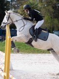 3FT07838 3FT07838
