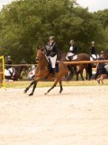DSC04609 DSC04609