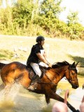 DSC00513 DSC00513