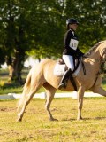 DSC00078 DSC00078
