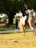 DSC00083 DSC00083