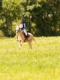 DSC00992 DSC00992