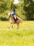 DSC00993 DSC00993
