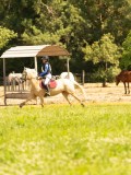 DSC01000 DSC01000