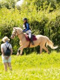 DSC01665 DSC01665