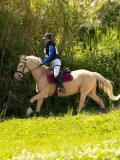 DSC01666 DSC01666