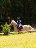 DSC01667 DSC01667