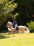 DSC01668 DSC01668