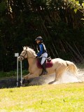 DSC01669 DSC01669