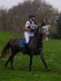 IMG_0384 IMG_0384