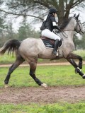 24_00507