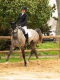 DSC08858 DSC08858