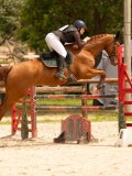 DSC04585 DSC04585