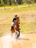 DSC03467 DSC03467