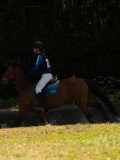 DSC01684 DSC01684