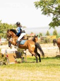 DSC01686 DSC01686
