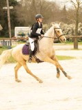 DSC06831 DSC06831