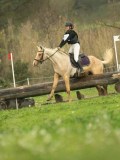 DSC08194 DSC08194