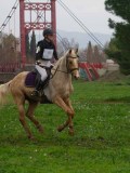IMG_0568 IMG_0568