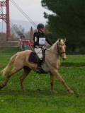 IMG_0570 IMG_0570