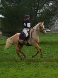 IMG_0573 IMG_0573