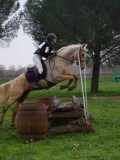 IMG_0575 IMG_0575