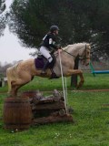 IMG_0576 IMG_0576