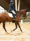 DSC00683 DSC00683