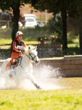 DSC09854 DSC09854