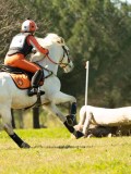 DSC09865 DSC09865