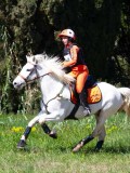 IMG_1432 IMG_1432