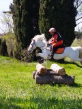 IMG_1436 IMG_1436
