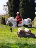 IMG_1437 IMG_1437
