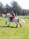 IMG_1445 IMG_1445