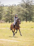 IMG_9334 IMG_9334