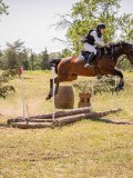 IMG_9338 IMG_9338