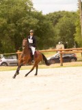 DSC04659 DSC04659