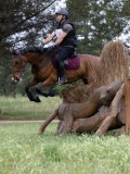 IMG_2442 IMG_2442